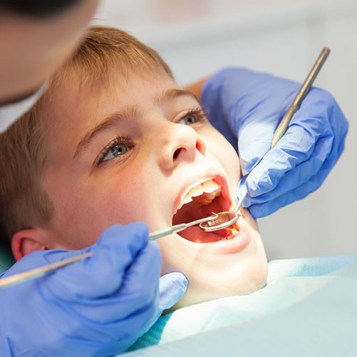 orthodontist with mouth model